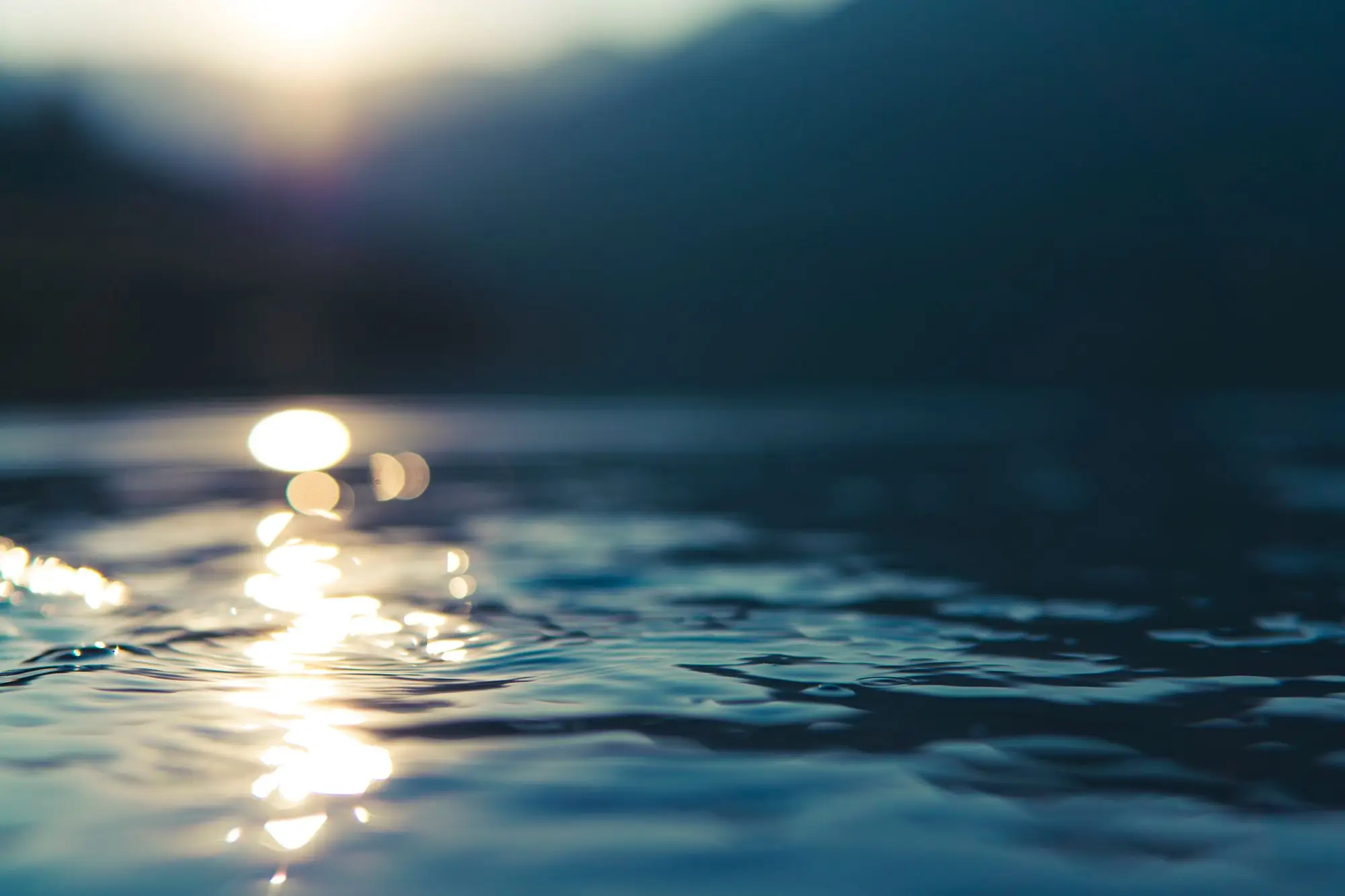 Calm water catching early morning light.